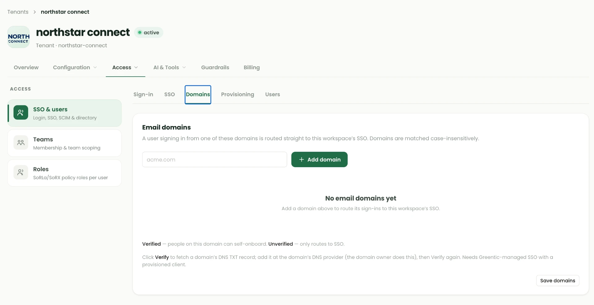 Tenant Domains tab showing the email domain input, Add domain button, an empty domain list and an explanation of verified and unverified domains with DNS TXT verification.